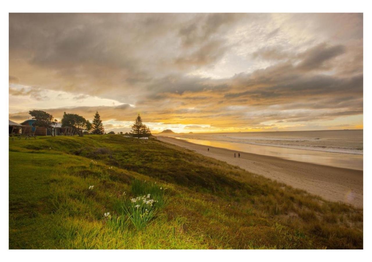 Cabbage Tree - Summer Or Winter Beachfront Haven Papamoa Exteriör bild